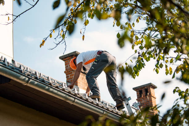 Best Flat Roof Repair Services  in Jacksonville, OR